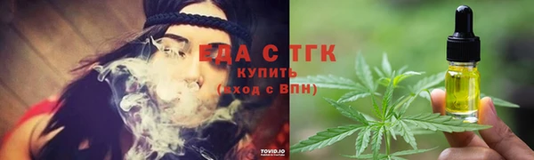 индика Арсеньев