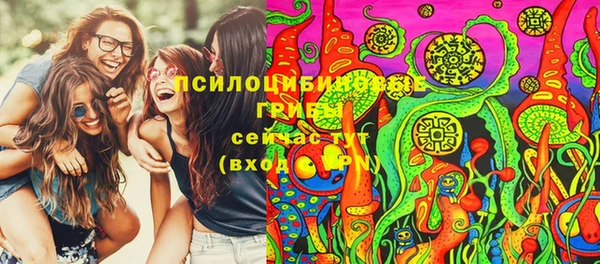 индика Арсеньев