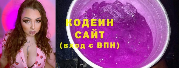 индика Арсеньев
