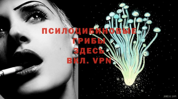 индика Арсеньев