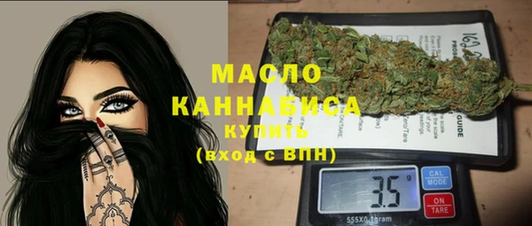 индика Арсеньев